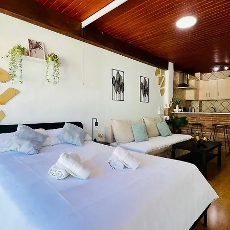 Apartamento Estudio Buddha En El Centro De - South Costa